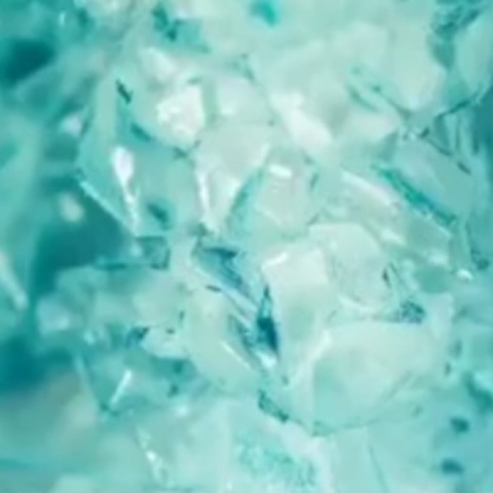 Meet your Posher, Bella